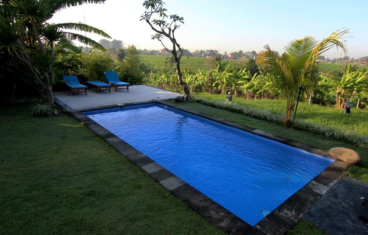 De Vir House Apartment Canggu  Exterior photo